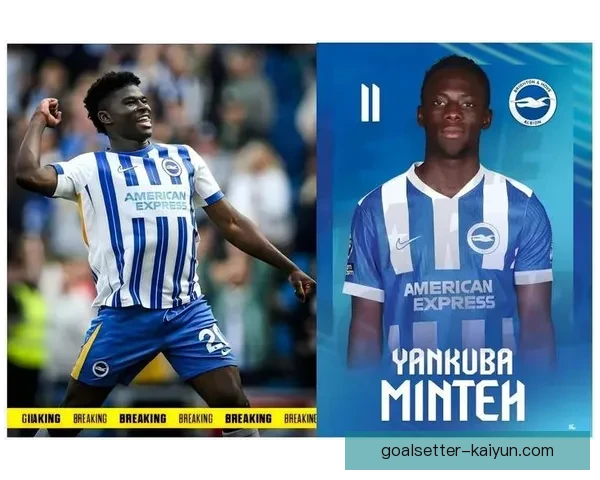 英超伯恩茅斯伤病潮持续发酵，球队状态遭遇挑战